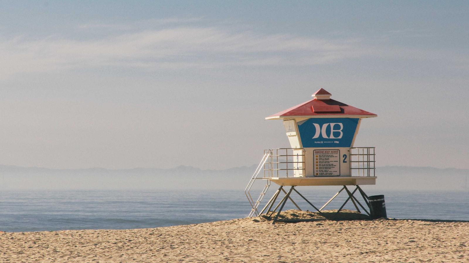 Agencia vs freelance vs equip intern