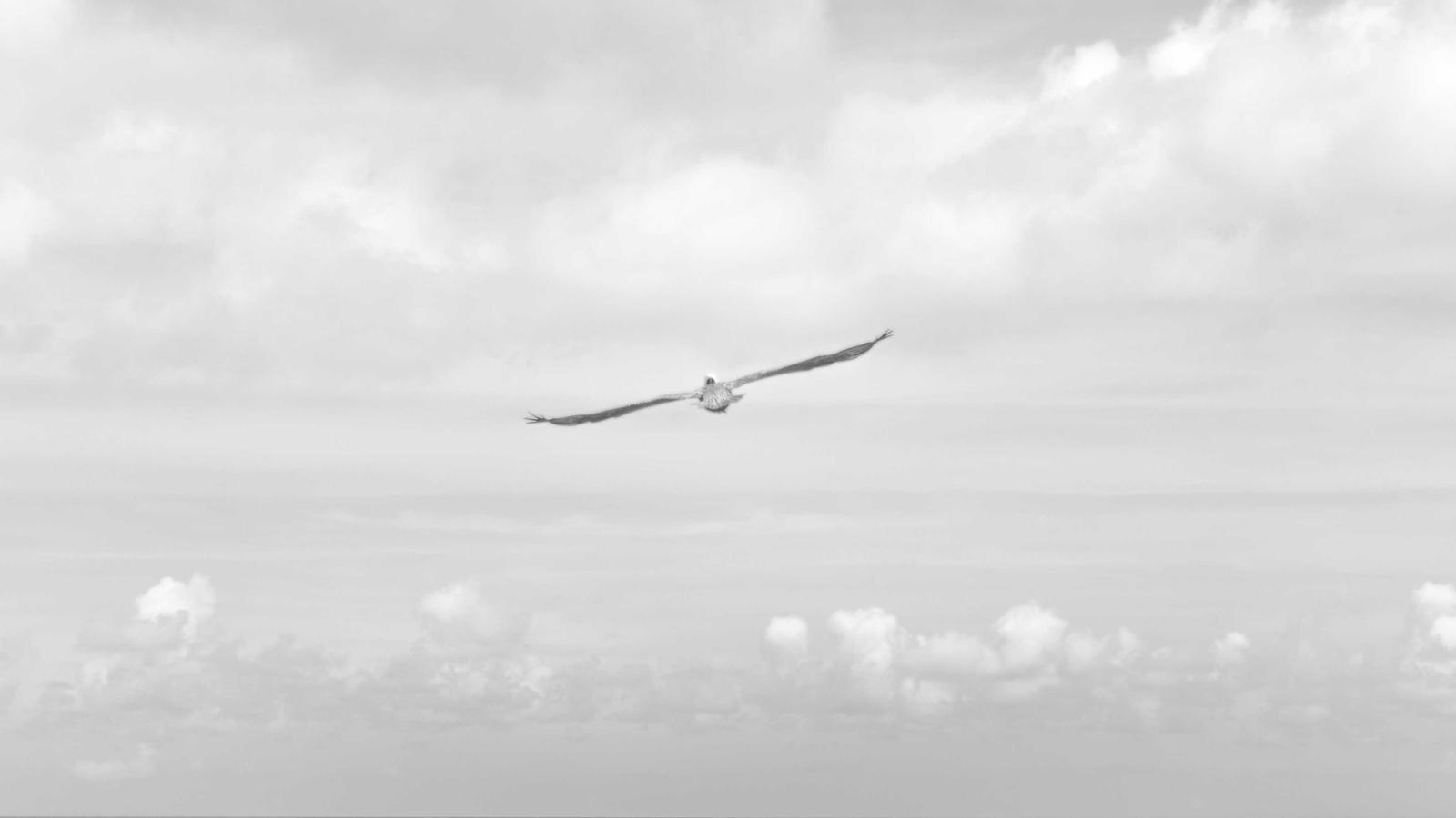 Com validar una idea digital