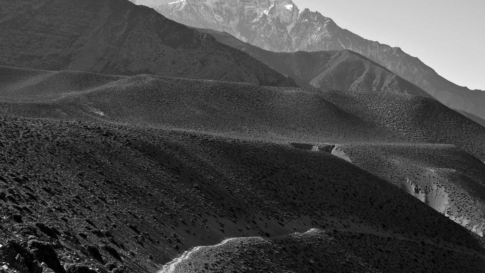 Core Web Vitals el 2025: el que Google mira i tu probablement ignores