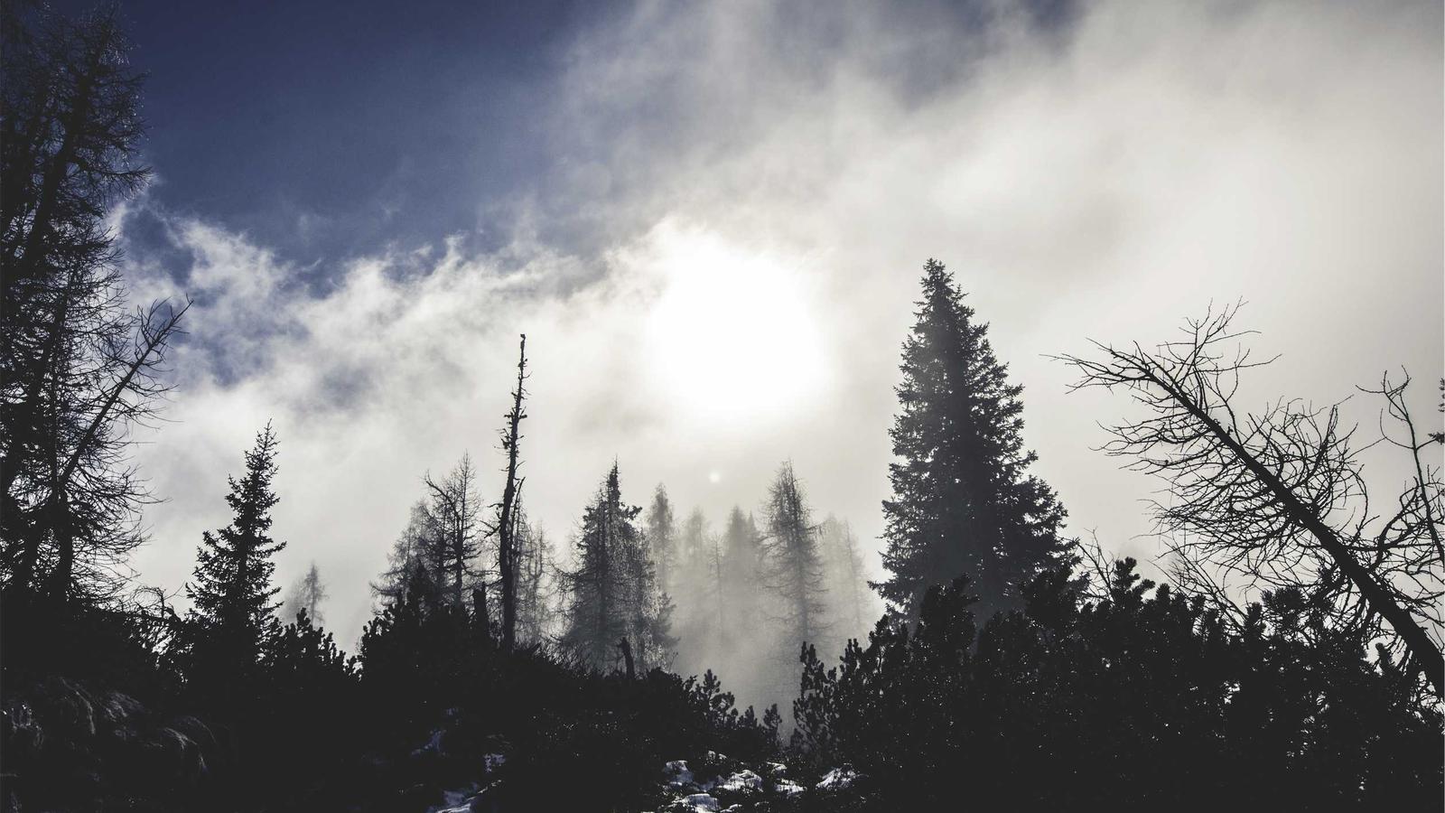 Pla digital de 90 dies